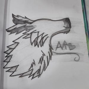 A charcoal drawing of a wolf head